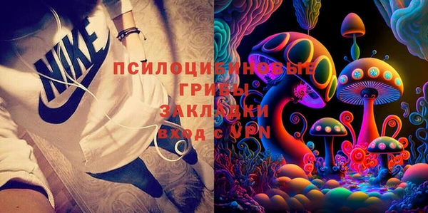шишки Арсеньев