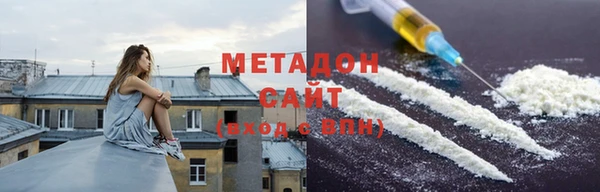 шишки Арсеньев