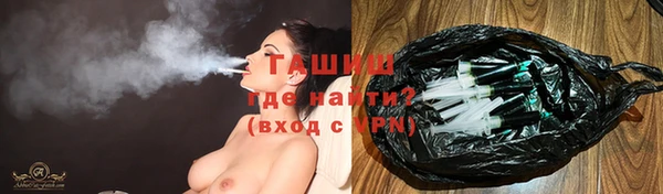 шишки Арсеньев