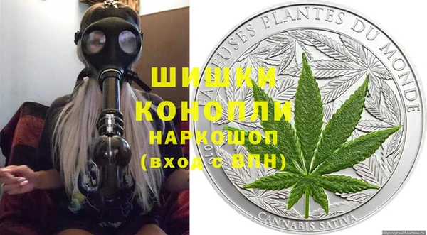 шишки Арсеньев