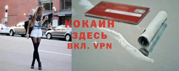 шишки Арсеньев