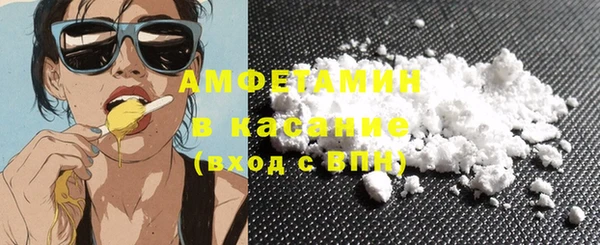 шишки Арсеньев