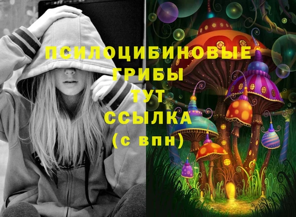 шишки Арсеньев
