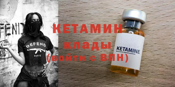 шишки Арсеньев