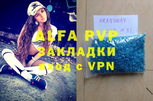 шишки Арсеньев
