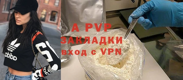 шишки Арсеньев