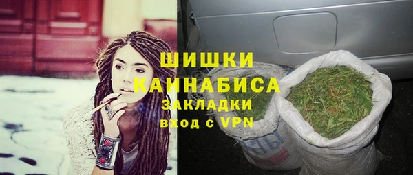 шишки Арсеньев