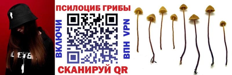 Галлюциногенные грибы ЛСД blacksprut онион нарко площадка наркотические препараты Правдинск